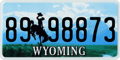 WY license plate 8998873