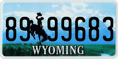 WY license plate 8999683