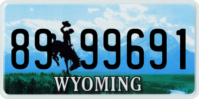 WY license plate 8999691