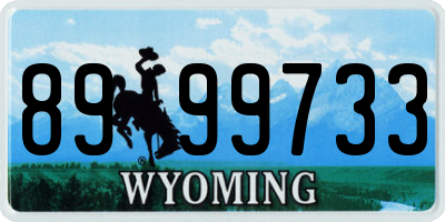 WY license plate 8999733