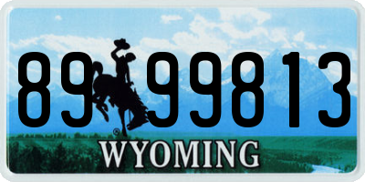 WY license plate 8999813
