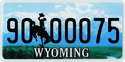 WY license plate 9000075