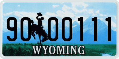WY license plate 9000111