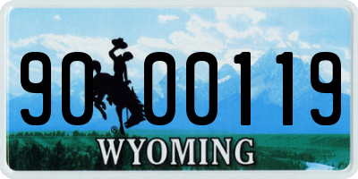 WY license plate 9000119