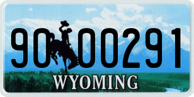 WY license plate 9000291