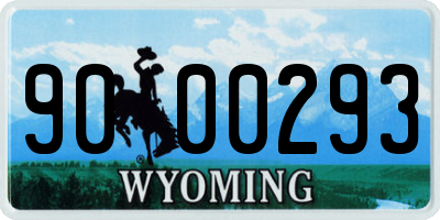 WY license plate 9000293