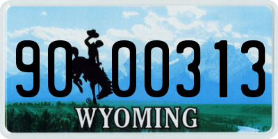 WY license plate 9000313