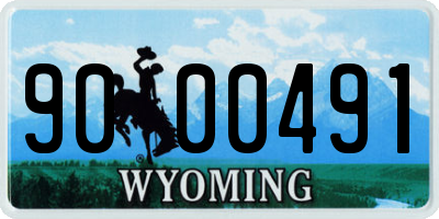 WY license plate 9000491