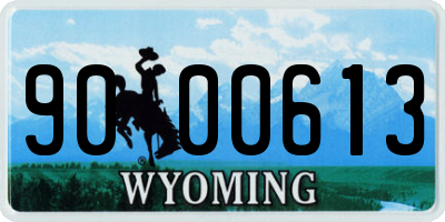 WY license plate 9000613