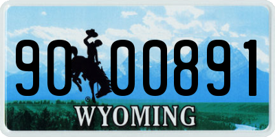 WY license plate 9000891