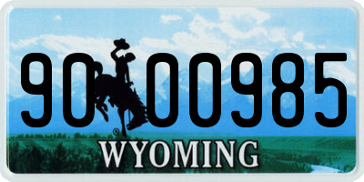 WY license plate 9000985