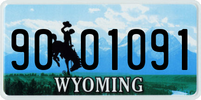 WY license plate 9001091