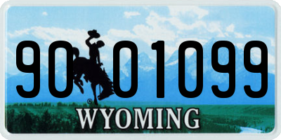 WY license plate 9001099