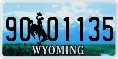 WY license plate 9001135