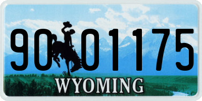 WY license plate 9001175