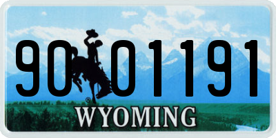 WY license plate 9001191