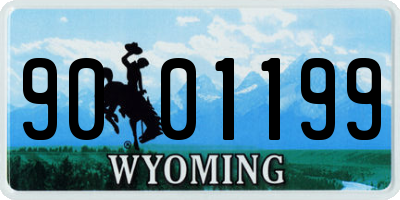 WY license plate 9001199