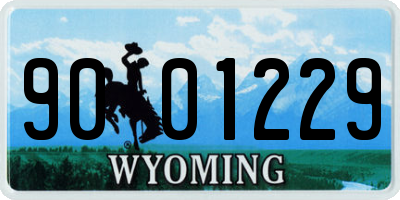 WY license plate 9001229