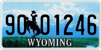 WY license plate 9001246