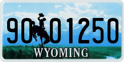 WY license plate 9001250