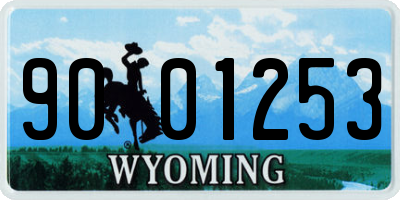 WY license plate 9001253