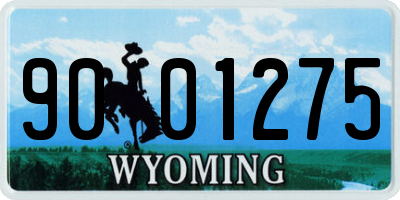 WY license plate 9001275