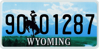 WY license plate 9001287