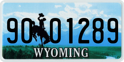 WY license plate 9001289