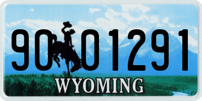 WY license plate 9001291