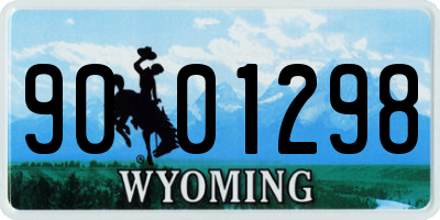 WY license plate 9001298