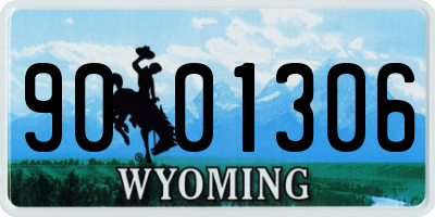 WY license plate 9001306