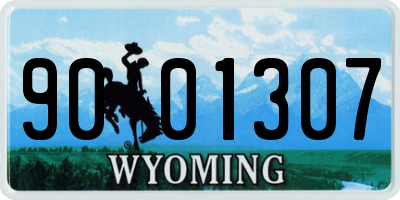 WY license plate 9001307