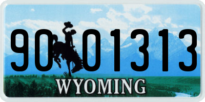 WY license plate 9001313