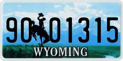 WY license plate 9001315