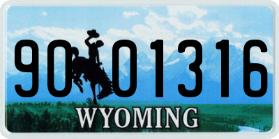 WY license plate 9001316