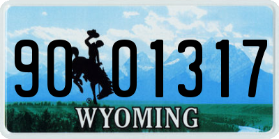 WY license plate 9001317