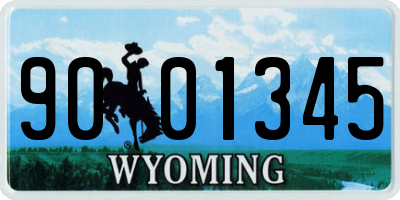 WY license plate 9001345