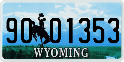 WY license plate 9001353