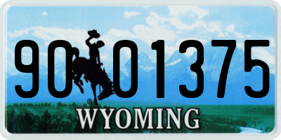 WY license plate 9001375