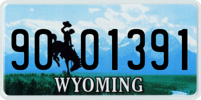 WY license plate 9001391