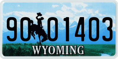 WY license plate 9001403