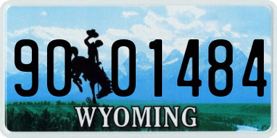 WY license plate 9001484