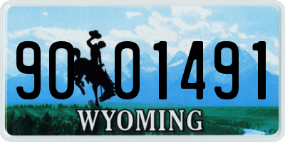 WY license plate 9001491