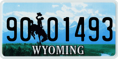 WY license plate 9001493