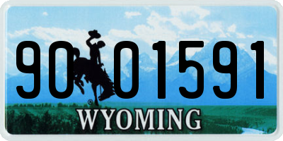 WY license plate 9001591