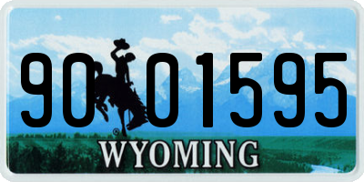 WY license plate 9001595