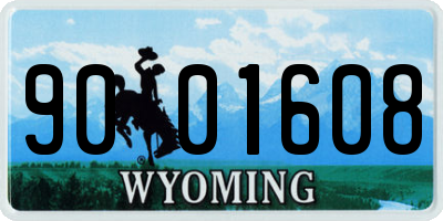 WY license plate 9001608