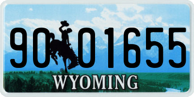 WY license plate 9001655