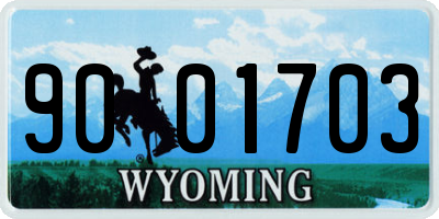 WY license plate 9001703