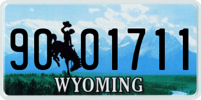 WY license plate 9001711